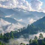 生态文学丨袁姣素：漫溯湖南生态散文