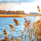 生态文学丨左岸：远去的湖冲