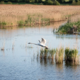 生态文学丨谈雅丽：西洞庭上的美丽邂逅