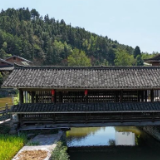 生态文学丨铁树：通道掠影