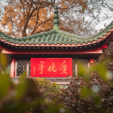 诗歌丨雪马:登岳麓山