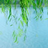 芙蓉·小说丨汗漫:不系之舟