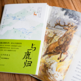生态文学丨沈念：与鹿归