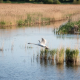 生态文学丨倪美群:在岳阳,那些被风吹亮的旧址