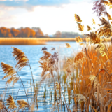 芙蓉·小说丨钟二毛:两个打火机