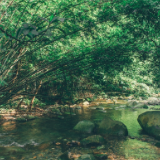 生态文学丨余海燕:沿着酉水去小溪