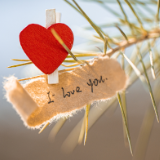 诗歌时刻丨《当代爱情诗歌典藏》:她们的爱情十人诗选