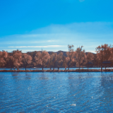 诗评丨凌之鹤:山川静美无恙,世间有爱堪怜