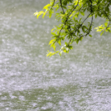 生态文学丨姜雪峰：靖州有条渠水河