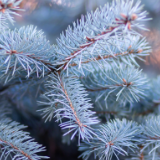 芙蓉·小说丨朱秀海:遗册