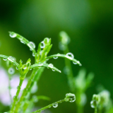 随笔丨张毅龙:立春帖