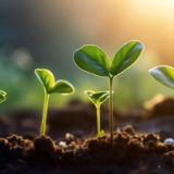 散文丨蒋新建：立春日的微醺