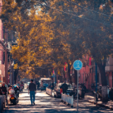 芙蓉·散文丨肖复兴：老街断简