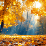 诗歌时刻丨梁书正：我写给你的书信已满树金黄