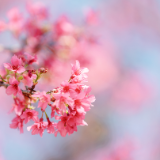 诗评丨谭孝红：终究“剪”出烟火味