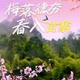 海报丨德夯梅开，赴一场湘西早春之约