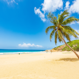 诗评丨山琥：墨染蔚蓝，心藏家国