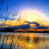 芙蓉·诗歌丨黄浩：夕阳坠落的声音，像一枚钉子敲打玻璃杯