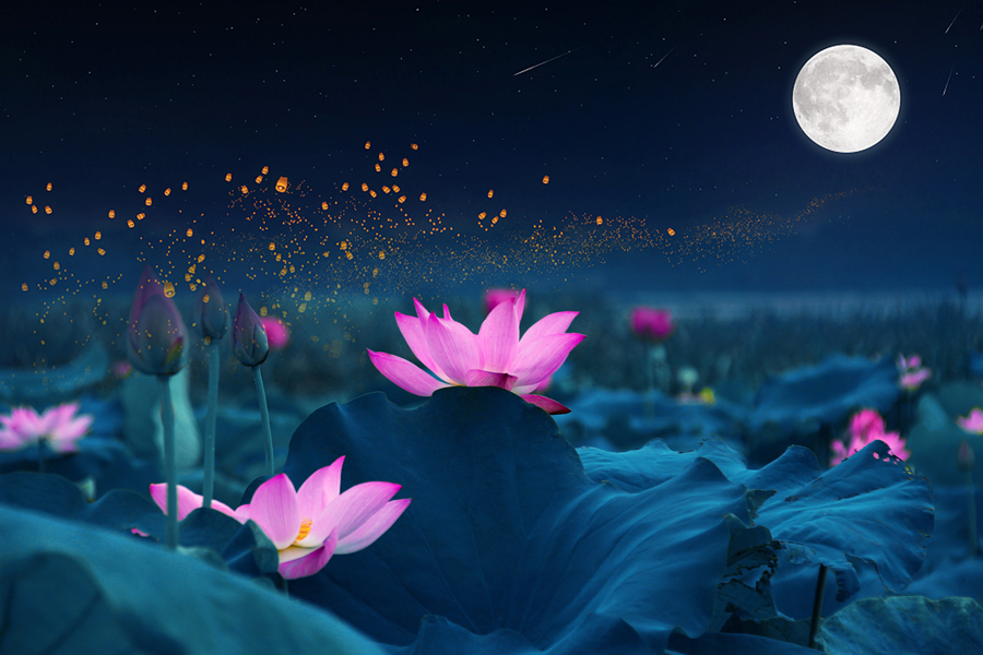 千库网_长沙望城傍晚荷塘月色月亮荷花摄影图配图_摄影图编号217401_副本.jpg 千库网_长沙望城傍晚荷塘月色月亮荷花摄影图配图_摄影图编号217401_副本.jpg