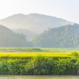 诗歌时刻丨张绍民:保山——美丽幸福的百科全书