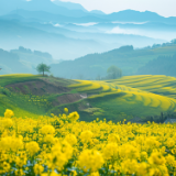 诗歌丨黄小常:我只是一个行路的人,在尘土与星光之间