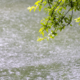 生态文学丨王敦权：芦洪江寻源记