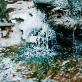 生态文学丨魏芸霞：洪源之野