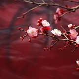 新乡土诗派丨陈惠芳:碧云其人其诗