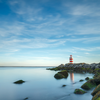 芙蓉·诗歌丨汤红辉：凭栏处，我想翻身一跃乘龙远遁