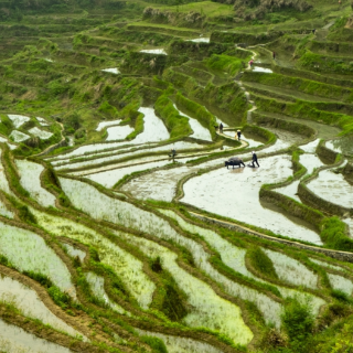 生态文学丨谭旭日：当下乡土散文与生态散文创作的误区