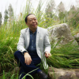 新乡土诗派丨陈惠芳：刘鸿伏其人其诗