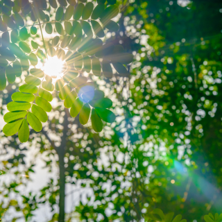 随笔丨许巧:情怀的诗意与哲思