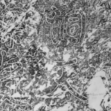 石壁镌明韵,铭刻留夫夷——温泉洞的摩崖石刻