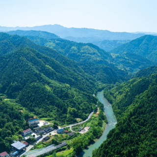 芙蓉·诗歌丨马文秀:一束从火焰中涅槃的花