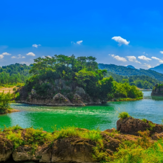 诗评丨苏仁聪:词语的暗处与光亮