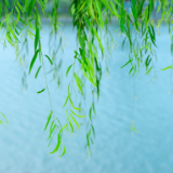 清明:从炎黄到复兴的生死书