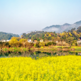 诗歌时刻丨碧云：阳光从云层里照射出来，大地流淌着金色的回音