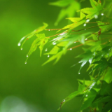 生态文学丨肖远湘：大地的节日