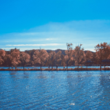 评论丨彭敏哲：山河入韵，诗笔传薪