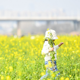 长沙初春赏花图鉴，邂逅一城烂漫春光