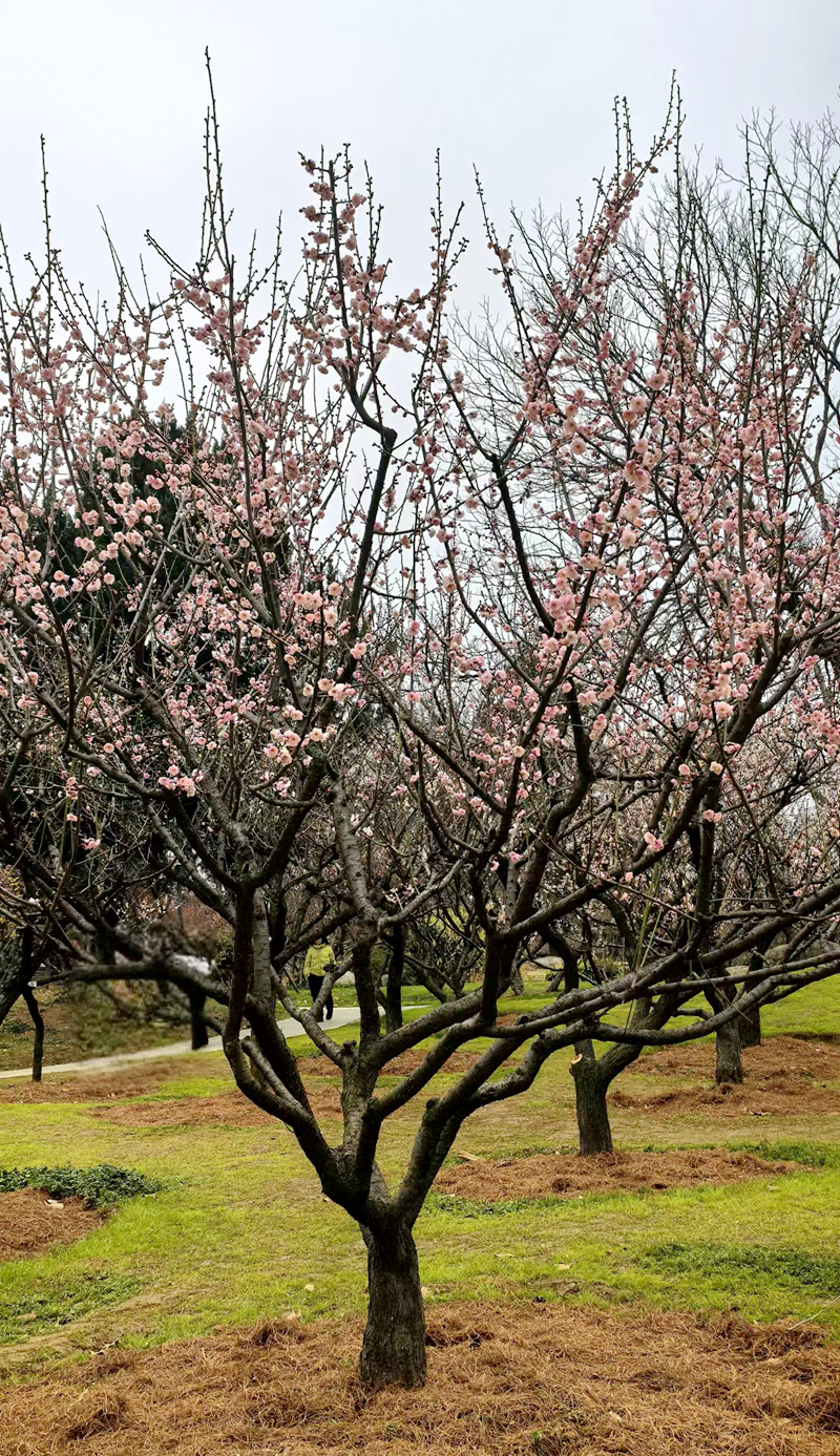 微信图片_20260308151425_2781_263.jpg 微信图片_20260308151425_2781_263.jpg