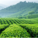 散文丨刘鸿伏：每个人都有两个故乡