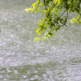 诗歌时刻丨魏龙元：一场雨，便是一次无声地叩问