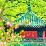 散文丨杨海斌：岳麓山的雨