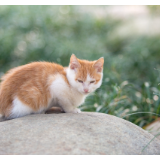 散文丨姚永告:穿过风来爱你