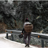 诗歌丨芦坡：背篓