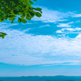 新时代诗观察丨崔国发：城市镜像的观照与地域文化的书写