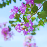 诗歌时刻丨山禾：夜晚太冷了，我准备变成每一滴水