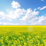 诗歌时刻丨肖和元：清明，在山水间放歌