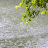 诗歌时刻丨康晓东：残雪融进半生，与朝霞相映